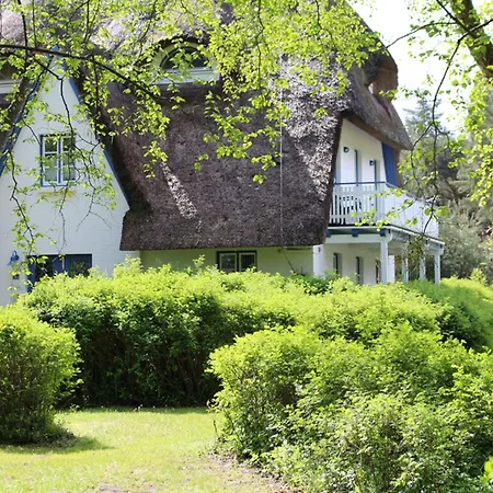 Appartement Achtern Diek Haus 12a 3 *